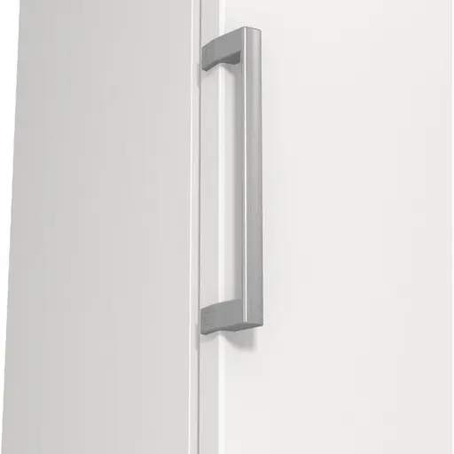 Морозильна камера GORENJE FN 619 FEW5 - фото 5