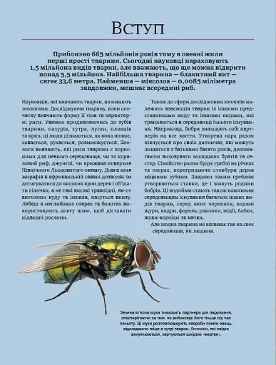 Велика книга тварин - фото 4
