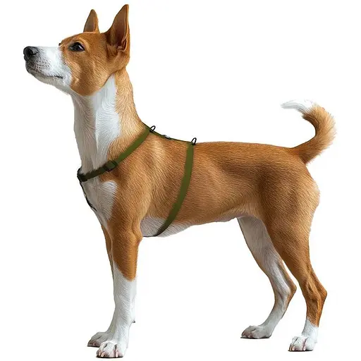 Шлея для собак Waudog Magnet водостійка анатомічна Н-подібна з QR-паспортом, магнітна пряжка-фастекс, S - фото 6