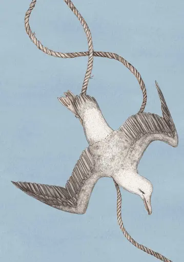 Орнітографія: Ілюстрований довідник із пташиної символіки та легенд - фото 3