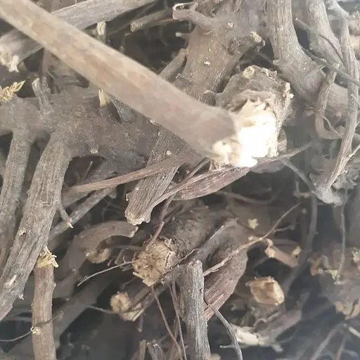 100 г ехінацея пурпурна коріння сушене - свіжий урожай