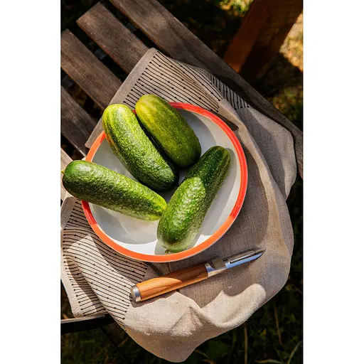 Нож для чистки Fiskars Norden с фиксированным лезвием (1065247) - фото 9