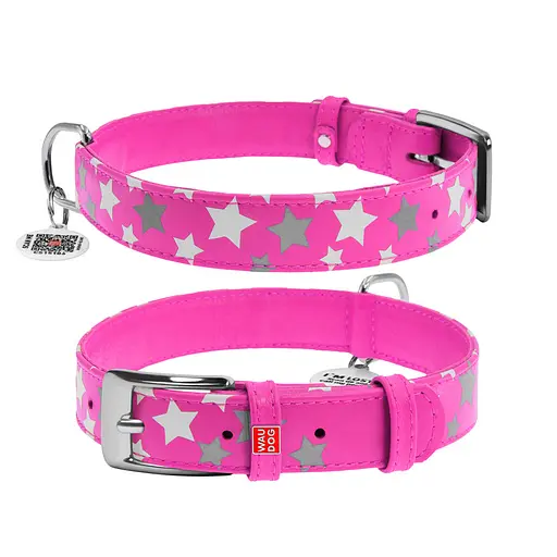 Ошейник для собак кожаный Waudog Glamour с QR-паспортом узор "Звездочка" светонакопительный/светоотражающий M Ш 20 мм,