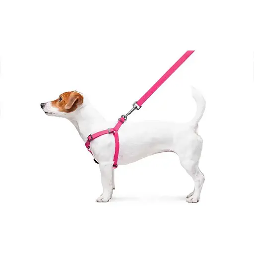 Шлея для собак Waudog Waterproof водостійка з QR паспортом, металічна пряжка-фастекс, рожевий - фото 8