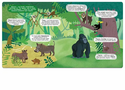 Загадкові джунглі та їхні мешканці - фото 6