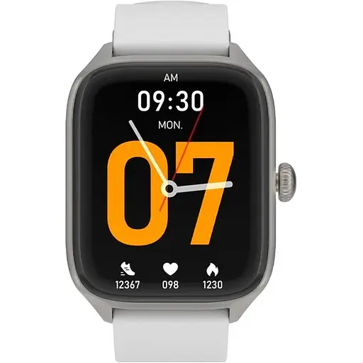 Смарт-часы Gelius GP-SW012 AMAZWATCH GTS Silver - фото 2