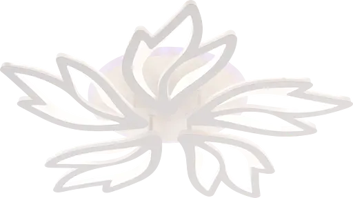 Потолочный светильник LI9862-5