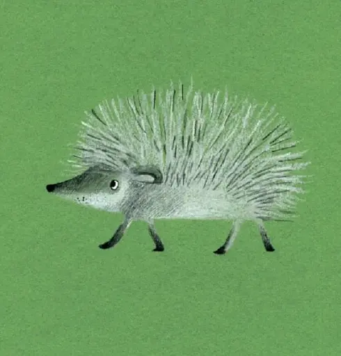 Forest Animals - фото 6