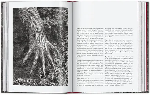 Sebastiao Salgado. Genesis. 45th Edition - фото 7