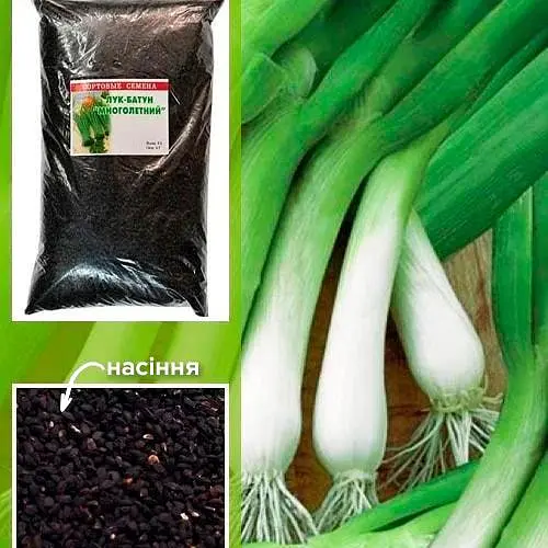 Лук "Батун" ТМ "Весна" 500г (15035) - фото 1