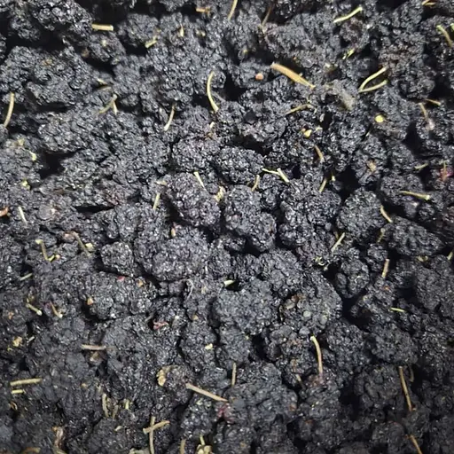 100 г шовковиця чорна сушені ягоди/плоди сушені - свіжий урожай