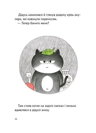 Чорний Кіт — помічник. Дотримуйтеся порядку в резиденції! - фото 4