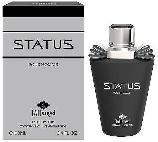 Парфумована вода TAD Angel Status чоловіча 100 мл