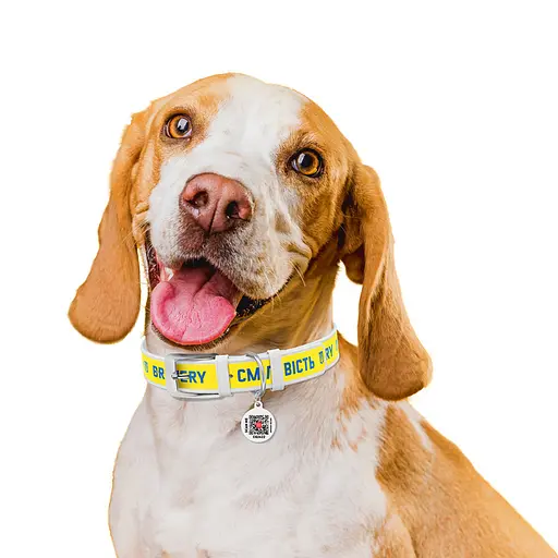 Нашийник для собак шкіряний Waudog Design з QR-паспортом "Сміливість" XL Ш 35 мм Д 46-59 см білий - фото 4