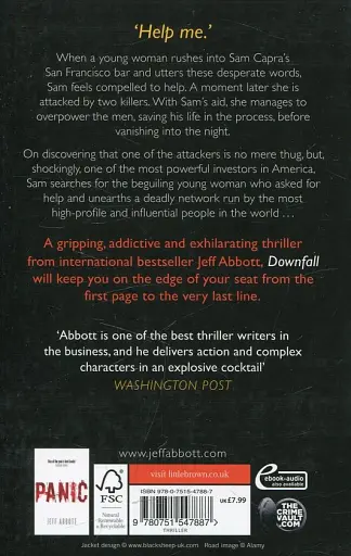 Downfall - фото 2