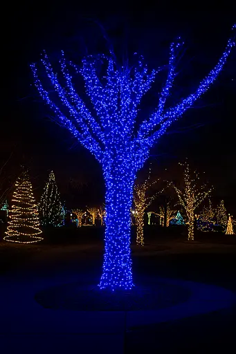 Новорічна гірлянда Різдвяна фея вулична GarlandoPro 100 м 1000 LED гірлянда на вулицю 8 режимів роботи білий провід Синій CF1000L100MWBL - фото 9