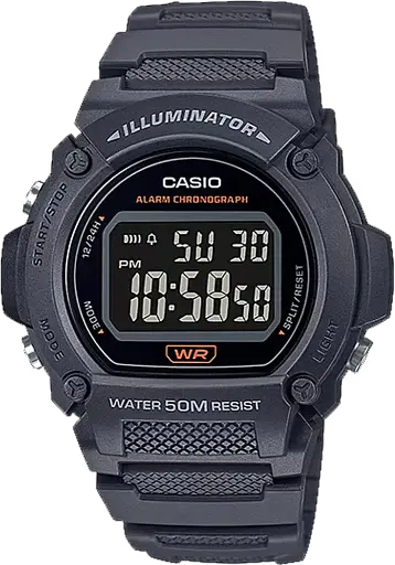 Часы Casio Timeless Collection W-219H-8B