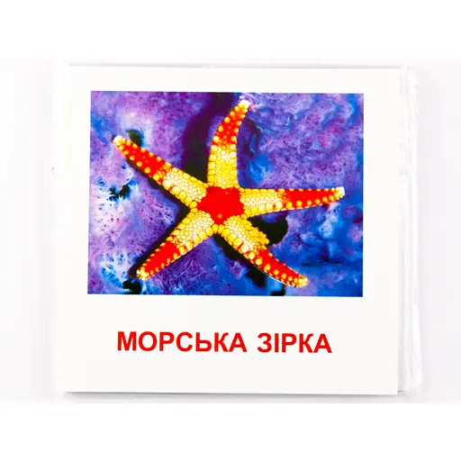 Картки міні Zirka Морські жителі 110х110 мм UA-ENG 72752 - фото 5