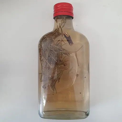 Водная настойка на побегах пихты 200 мл - фото 2