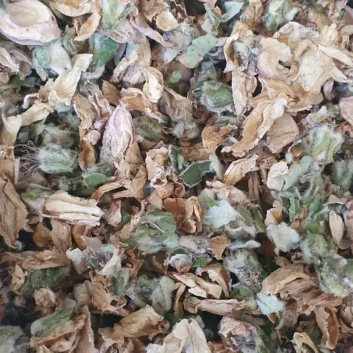 100 г айва цвіт