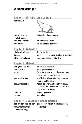 Die ganze Wahrheit. Carsten Tsara Hat Besuch Lesehefte B1. - фото 4