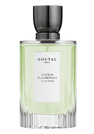 Парфумована вода Annick Goutal Encens Flamboyant 100 мл - фото 2