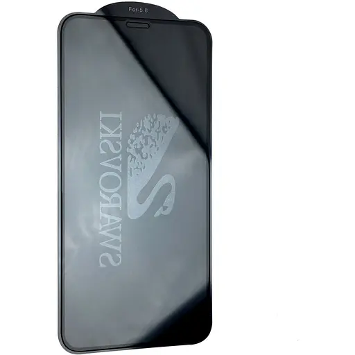 Захисне скло DK Hologram для Apple iPhone XS Max/11 Pro Max 08