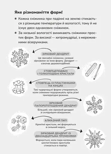 Зік – погодний ґік. Порятунок ящірки від хуртовини - фото 10