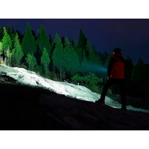 Фонарь Olight Warrior Mini 2 Tan - фото 11