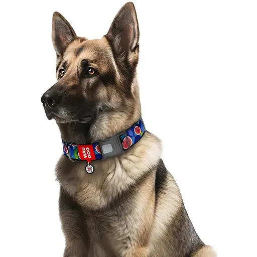 Нашийник для собак нейлоновий Waudog Nylon з QR паспортом Інжир XXL 3.5х46-70 см - фото 3