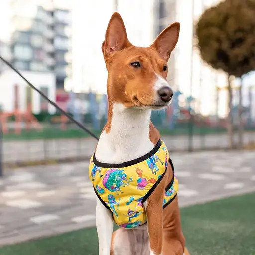 Шлейка для собак Waudog Clothes мягкая с QR-паспортом, рисунок "Рик и Морти 3", S1 - фото 7