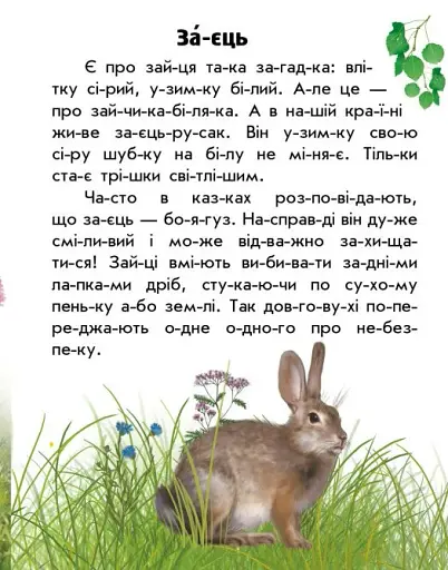 Читаю про Україну. Тварини лісів - фото 3