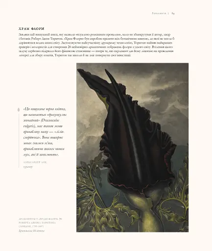 Гаррі Поттер. Історія магії - фото 8