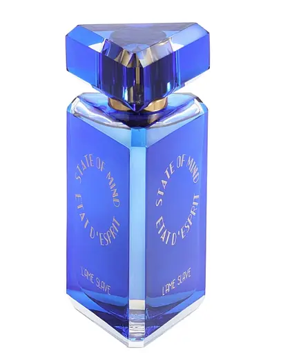 Парфюмированная вода оригинал тестер State Of Mind L’Ame Slave 100 мл - фото 2