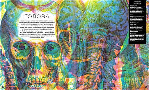 Прихований світ людського тіла. Автор Кейт Девіс - фото 6