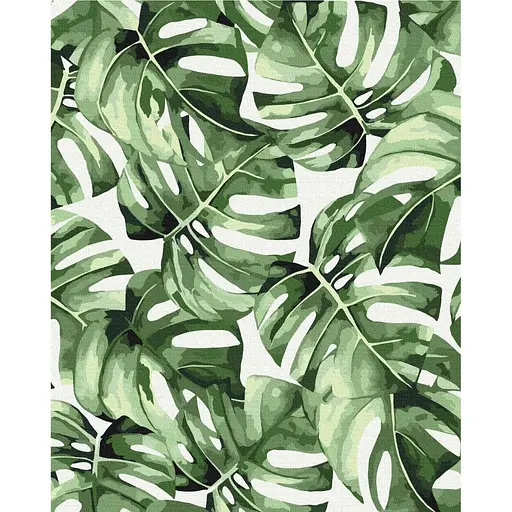 Картина по номерам Екзотична монстера Brushme 40x50 см разноцветная 000276516