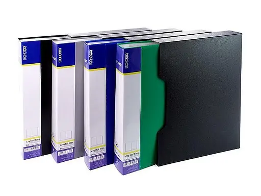 Папка з 100 файлами А4 E30610 Economix у пластиковому боксі (4044572306104) МІКС - фото 1