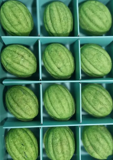 Набор Орешков Лайм 12 шт. в упаковке - фото 3