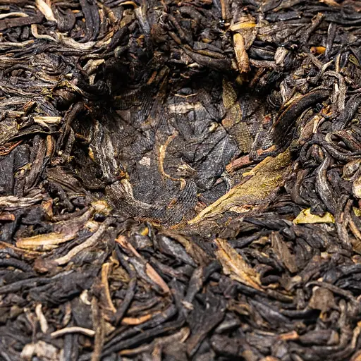 Шен Пуэр Вершина Горы 2020 г, 100 г - блинчик 100 г - фото 7