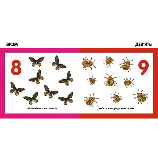 Дитяча смарт-книжечка "Лічимо комах" 944010, 24 сторінки - фото 2