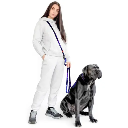 Повідець-перестібка для собак Waudog Nylon, малюнок "NASA21", М - фото 4