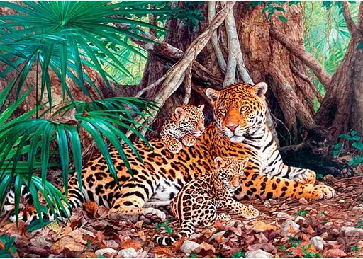 Пазл Castorland Ягуари у джунглях 3000 ел. (C-300280) - фото 2