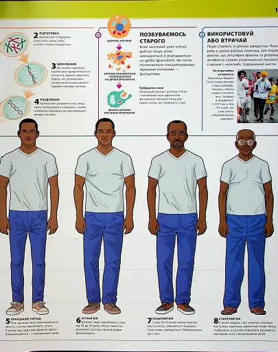 Енциклопедія знань. Тіло людини - фото 14