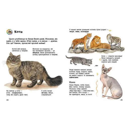 Енциклопедія дошкільника Домашні тварини 614029 для найменших - фото 2
