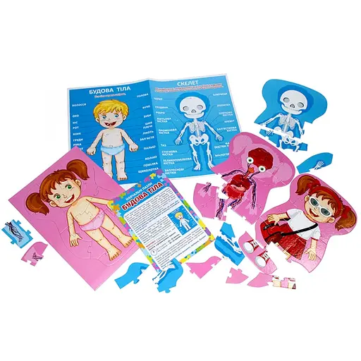 Навчальні пазли Будова тіла 13164012, 58 великих пазлів, плакат - фото 4