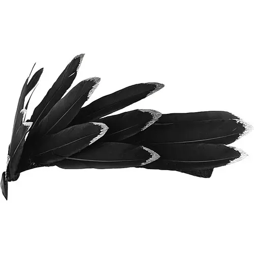 Тіара Фенікс - фото 2