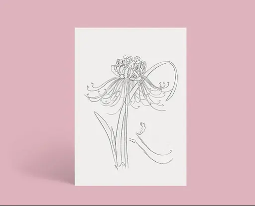 Листівки для розмальовування Квіти - Ольга Марс - фото 5