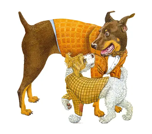 Про котів та про собак - фото 5