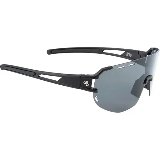 Очки Onride Iris smoke 17% в жестком чехле (1085-6936116101842)