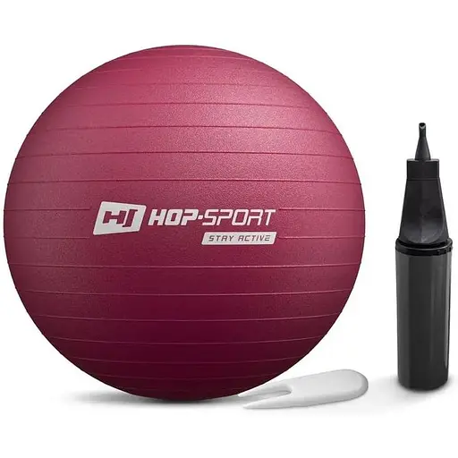 Фітбол Hop-Sport 45 см HS-R045YB сливовий + насос - фото 1